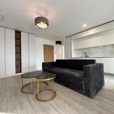 Piata Presei, Apartament 2 camere  complex Parcului 20, mobilat premium